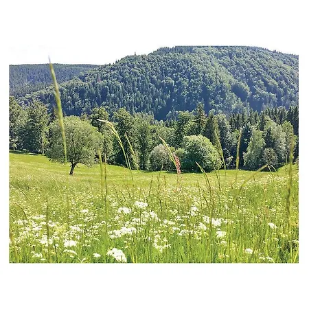 Five-bedroom Holiday In Gehlberg